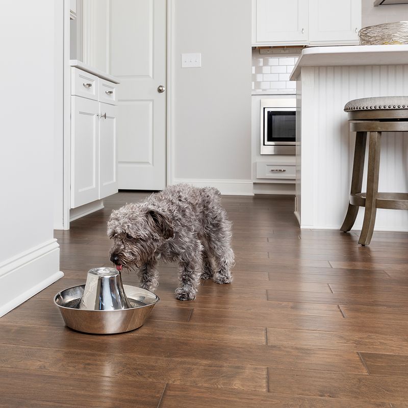 PETSAFE® FONTAINE EN ACIER INOXYDABLE