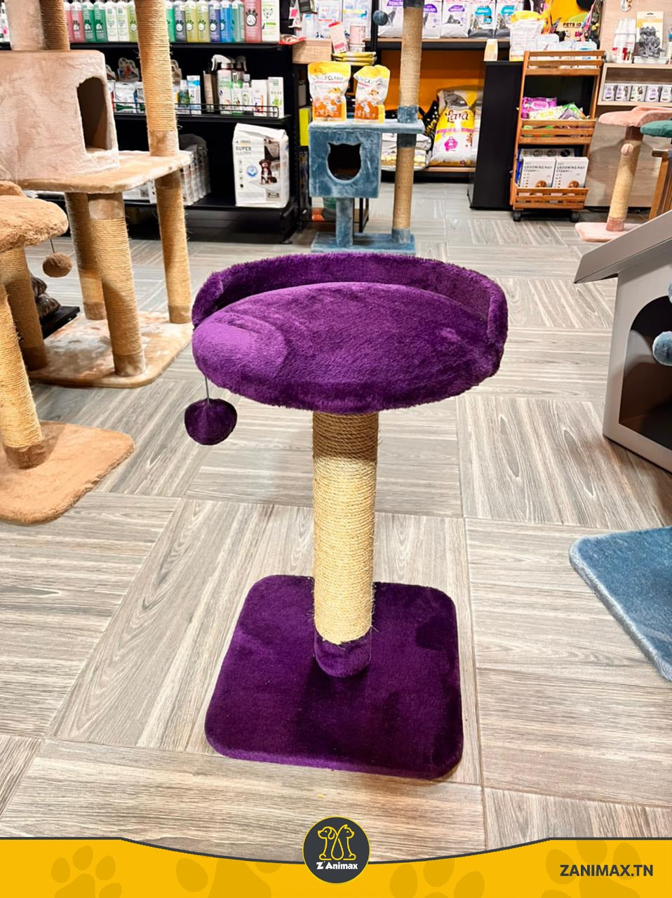 CHAGATÉ - Griffoir Violet avec Chaise - Sisal+ - 60 cm