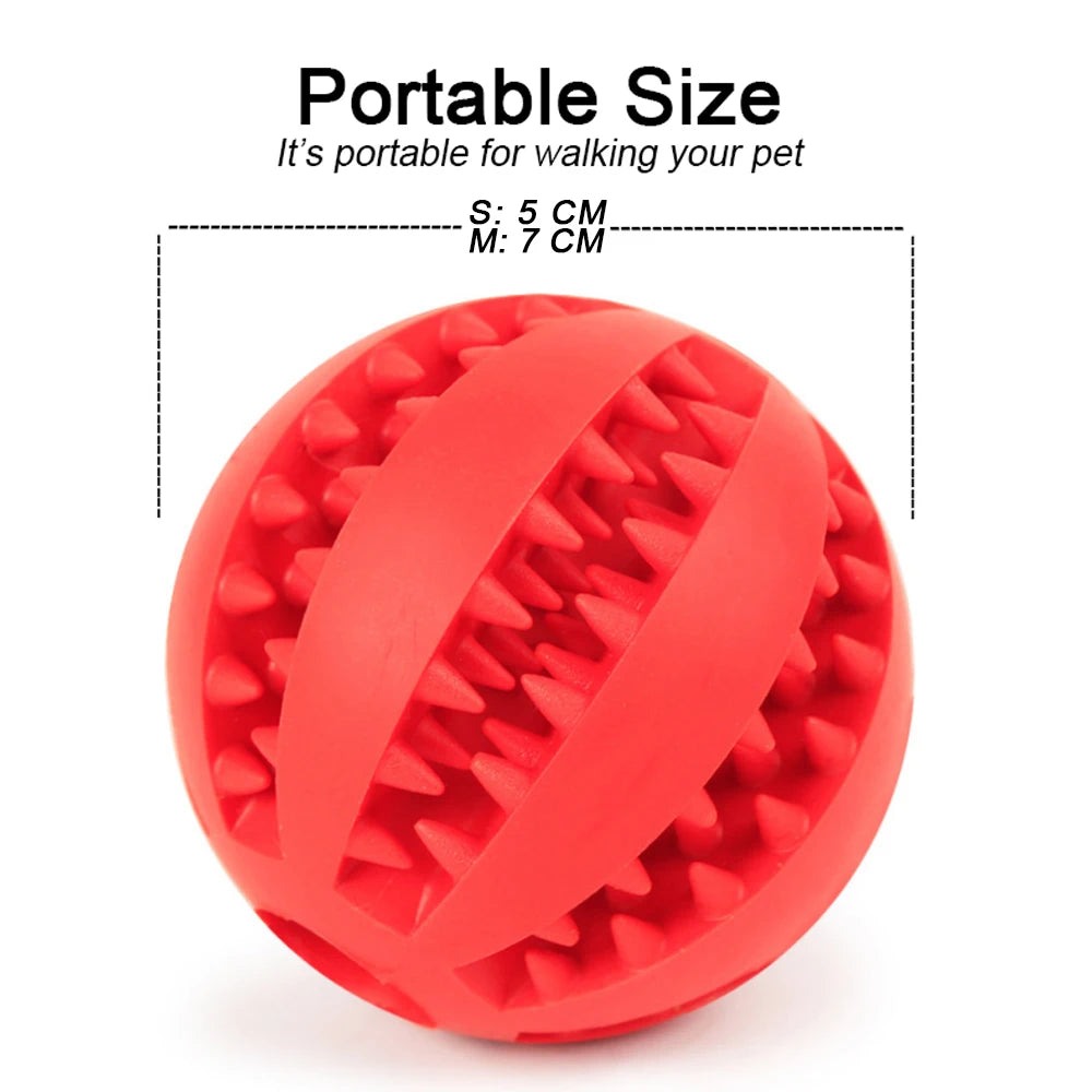 BALLE NETTOYAGE DES DENTS POUR CHIEN