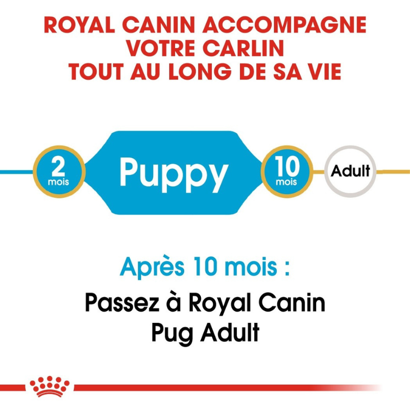 ROYAL CANIN PUG PUPPY 1.5kg