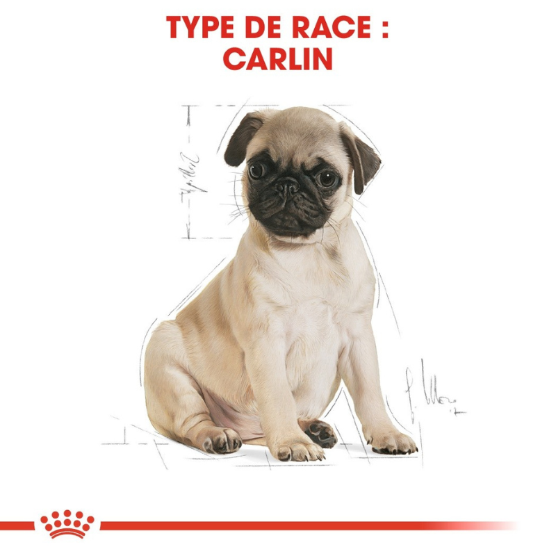 ROYAL CANIN PUG PUPPY 1.5kg