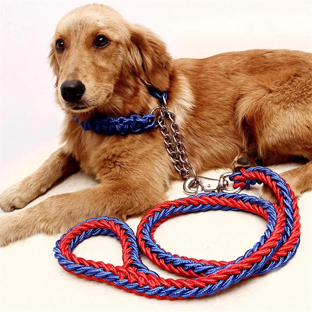 LAISSE AVEC COLLIER POUR GRAND CHIENS ROUGE ET BLEU