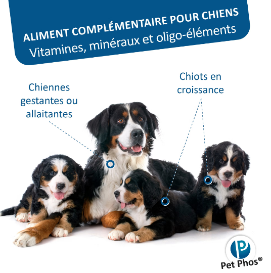 PETPHOS CROISSANCE GRAND CHIEN CAP/P=2  100 CPR