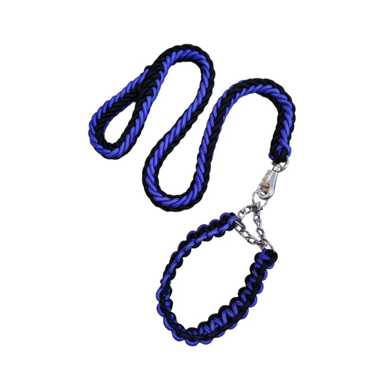 LAISSE AVEC COLLIER POUR GRAND CHIENS NOIR ET BLEU