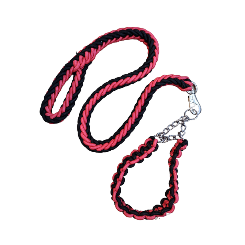 LAISSE AVEC COLLIER POUR GRAND CHIENS ROUGE ET NOIR