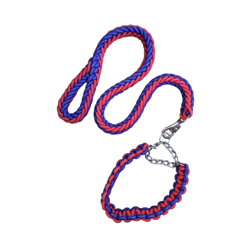 LAISSE AVEC COLLIER POUR GRAND CHIENS ROUGE ET BLEU