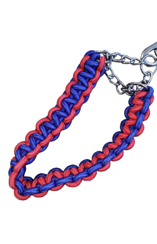 LAISSE AVEC COLLIER POUR GRAND CHIENS ROUGE ET BLEU