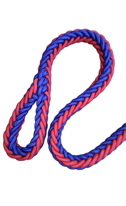 LAISSE AVEC COLLIER POUR GRAND CHIENS ROUGE ET BLEU