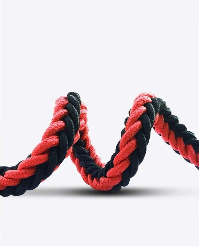 LAISSE AVEC COLLIER POUR GRAND CHIENS ROUGE ET NOIR