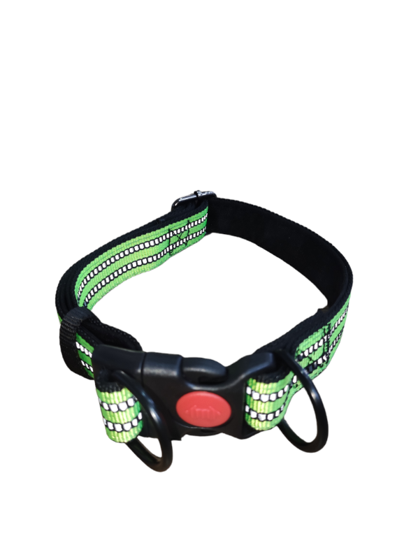 laisse + Collier Pour Chiens En Vert