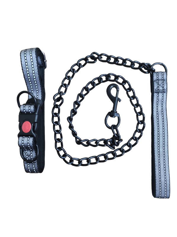 laisse + Collier Pour Chiens En Gris