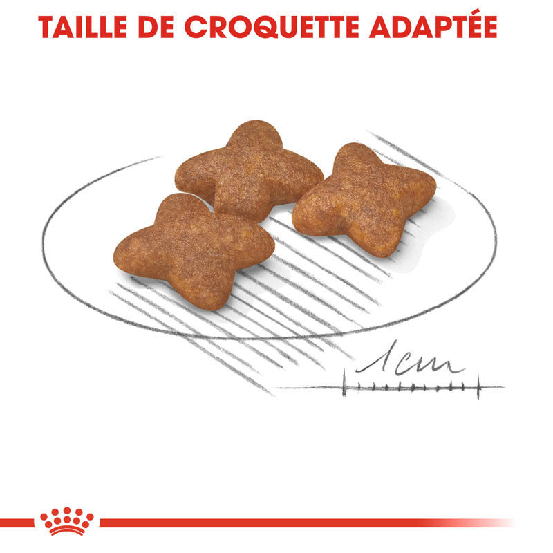 Croquette chien