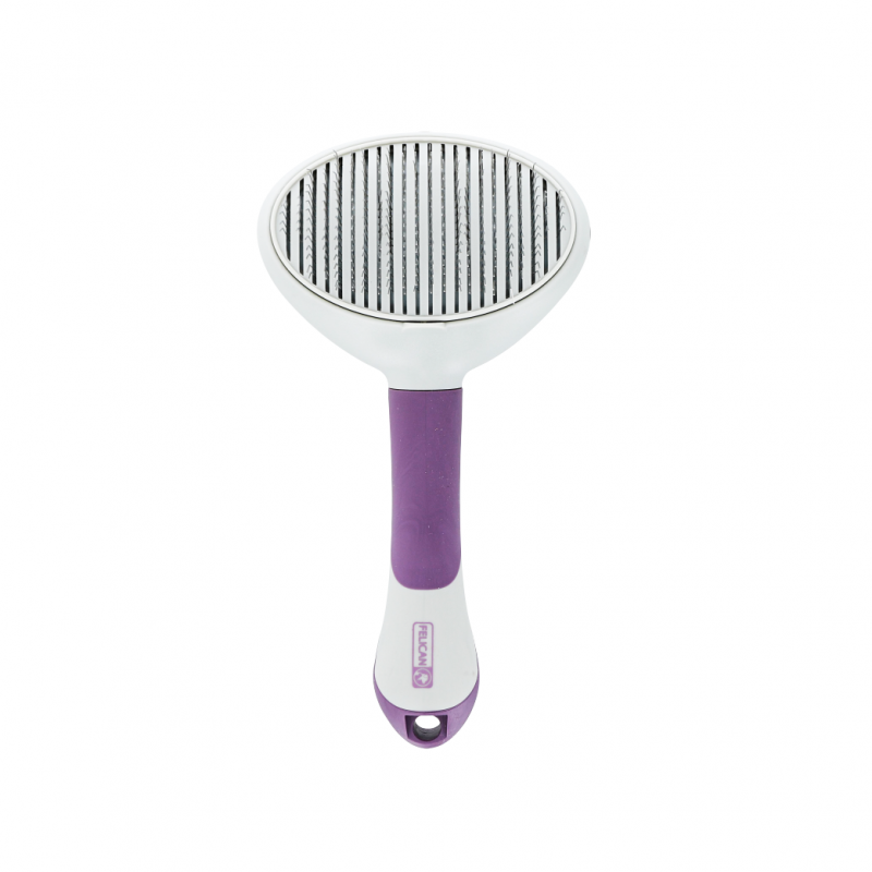 BROSSE AUTO NETTOYANTE AVEC BOUTON