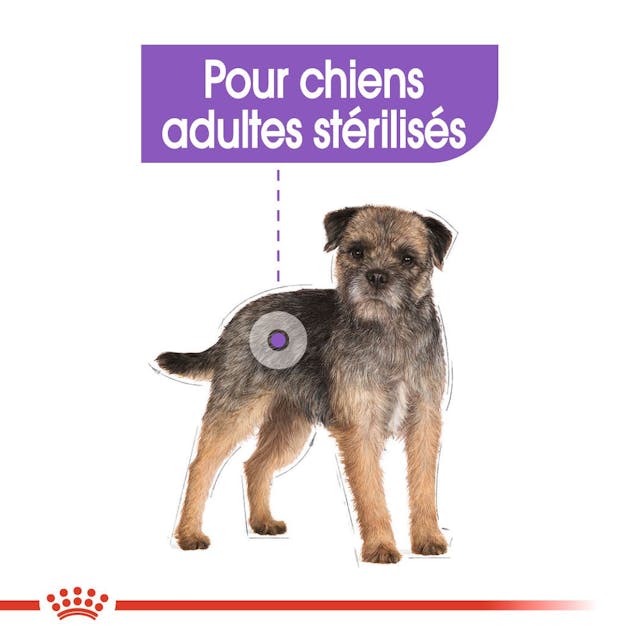 ROYAL CANIN CROQUETTE MINI STERILISED 3 KG