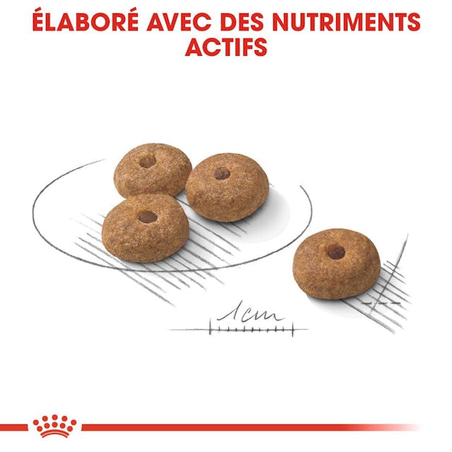 ROYAL CANIN CROQUETTE MINI STERILISED 3 KG