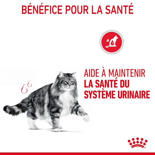 ROYAL CANIN POCHON URINARY EMINCE EN SAUCE  85G