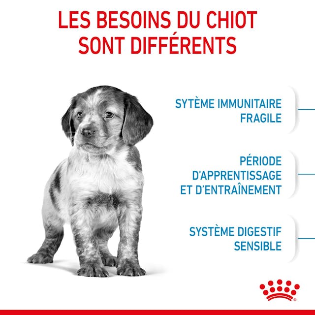 ROYAL CANIN CHIEN MEDUIM PUPPY 15 KG