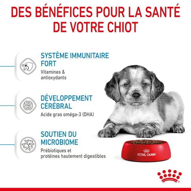 ROYAL CANIN CHIEN MEDUIM PUPPY 4 KG