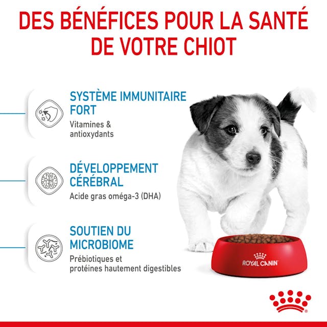 ROYAL CANIN - PUPPY MINI 800 Gr