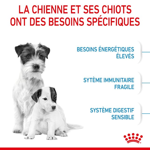 ROYAL CANIN - CHIEN Mini Starter mother and baby 1 Kg