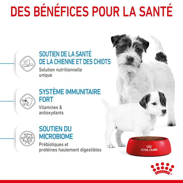 ROYAL CANIN - CHIEN Mini Starter mother and baby 1 Kg