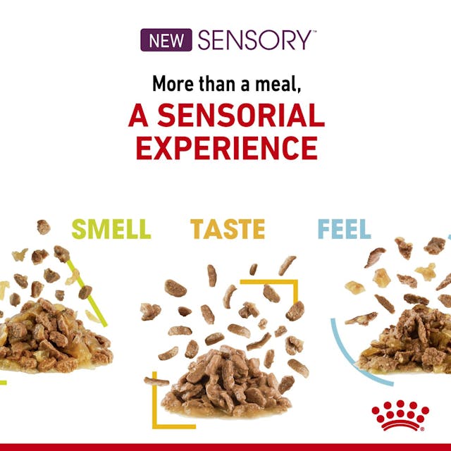 ROYAL CANIN SAUCE POUR CHAT SENSORY FEEL 85G