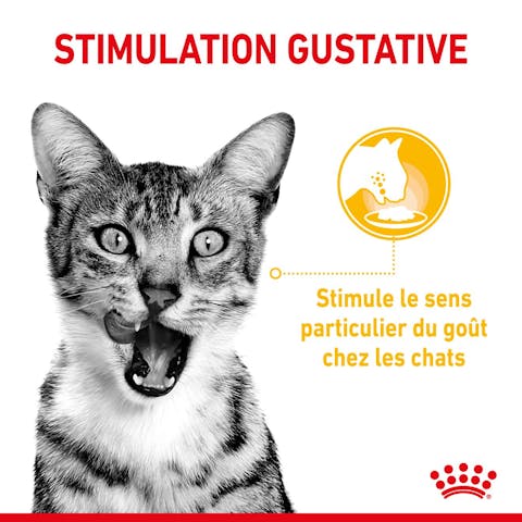 ROYAL CANIN SAUCE POUR CHAT SENSORY TASTE  85G