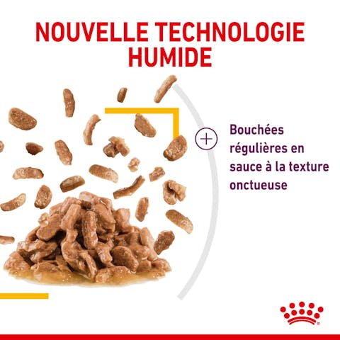 ROYAL CANIN SAUCE POUR CHAT SENSORY TASTE  85G