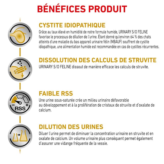 ROYAL CANIN - POCHON URINARY S/O MOUSSE POUR CHAT 85 Gr