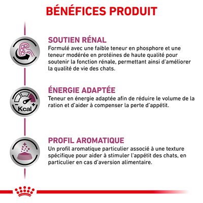 ROYAL CANIN VETERINARY RENAL EN SAUCE BŒUF POUR CHAT 85 G