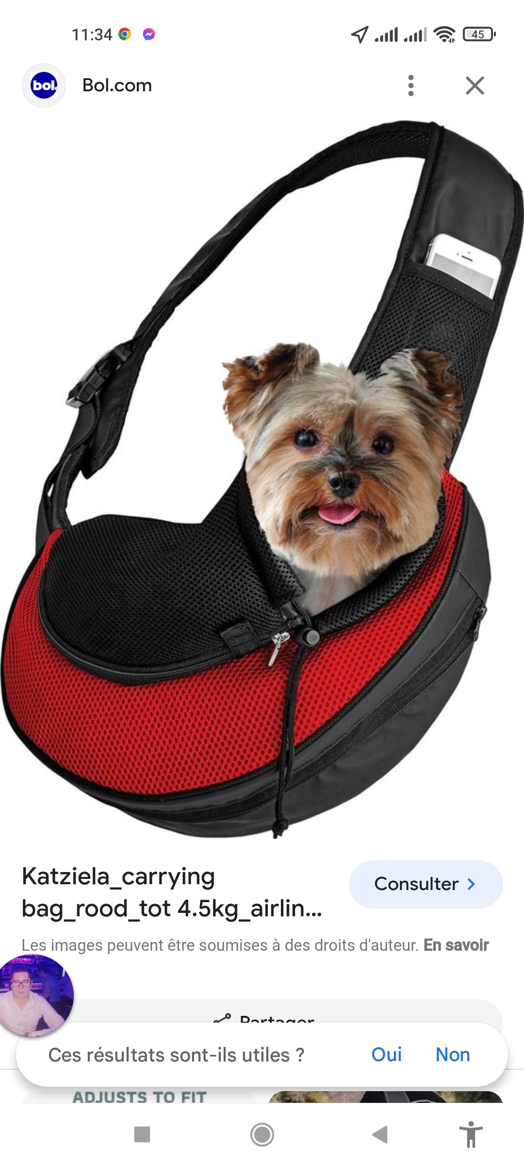 SAC DE TRANSPORT BANDOULIÈRE POUR PETIT CHIEN ET CHAT - GRIS ET VIOLET