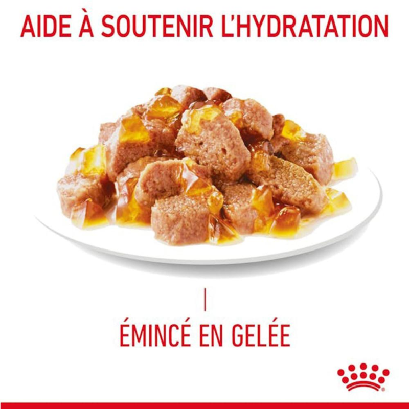 POCHON ROYAL CANIN LIGHT WEIGHT GELEE 85G