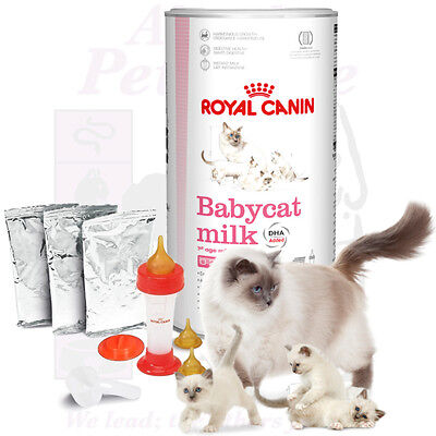 LAIT POUR CHATON ROYAL CANIN 300GR + BIBERON