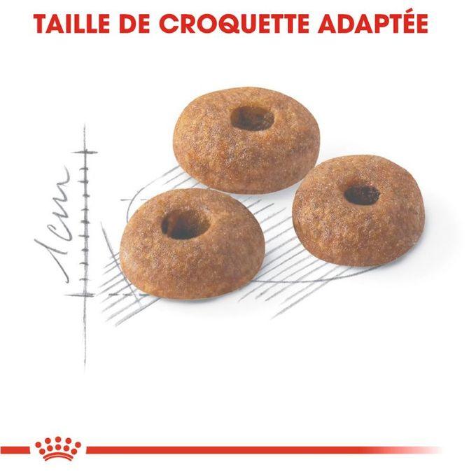 ROYAL CANIN CROQUETTE CHAT REGULAR FIT - 2KG