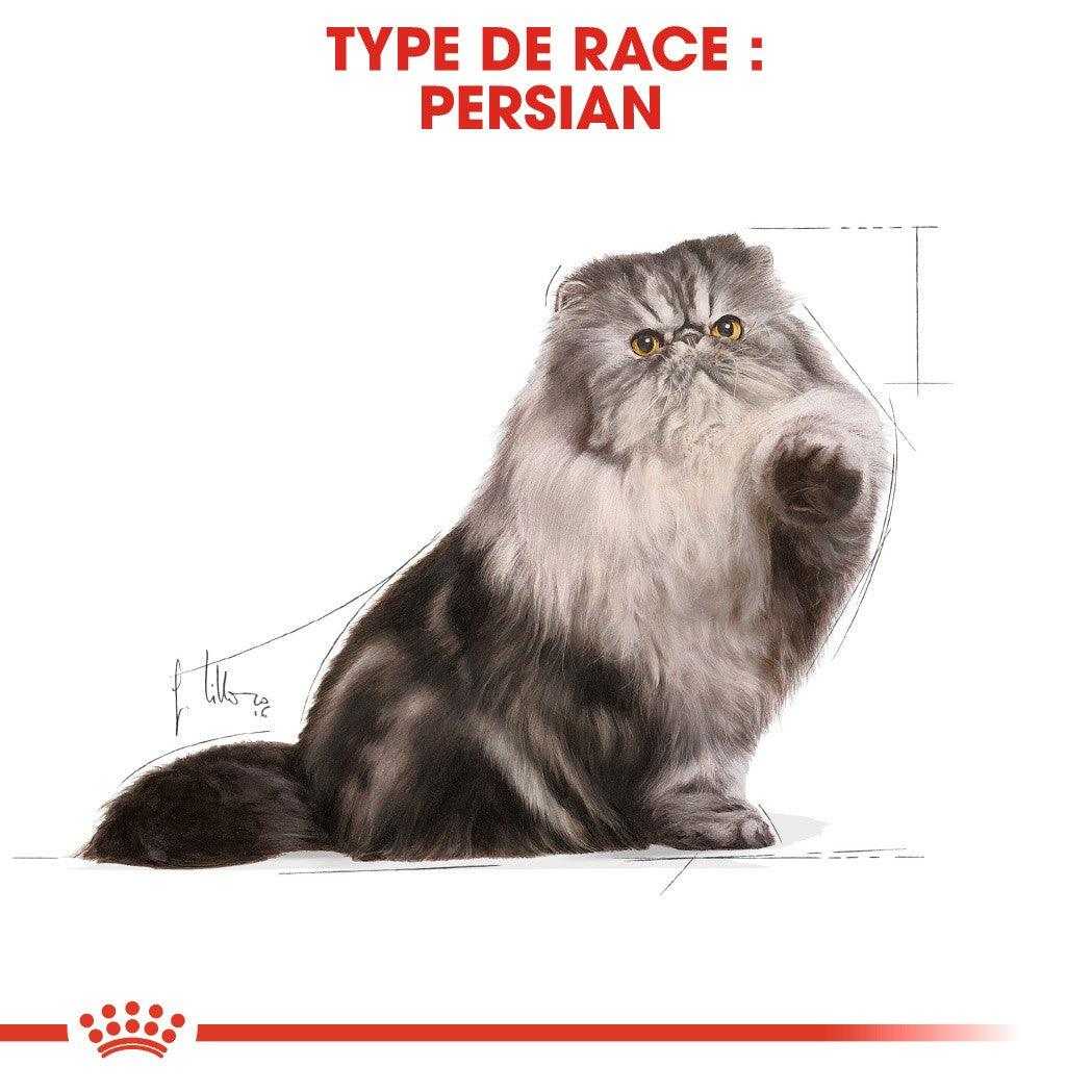 ROYAL CANIN POCHON MOUSSE PERSIAN ADULT