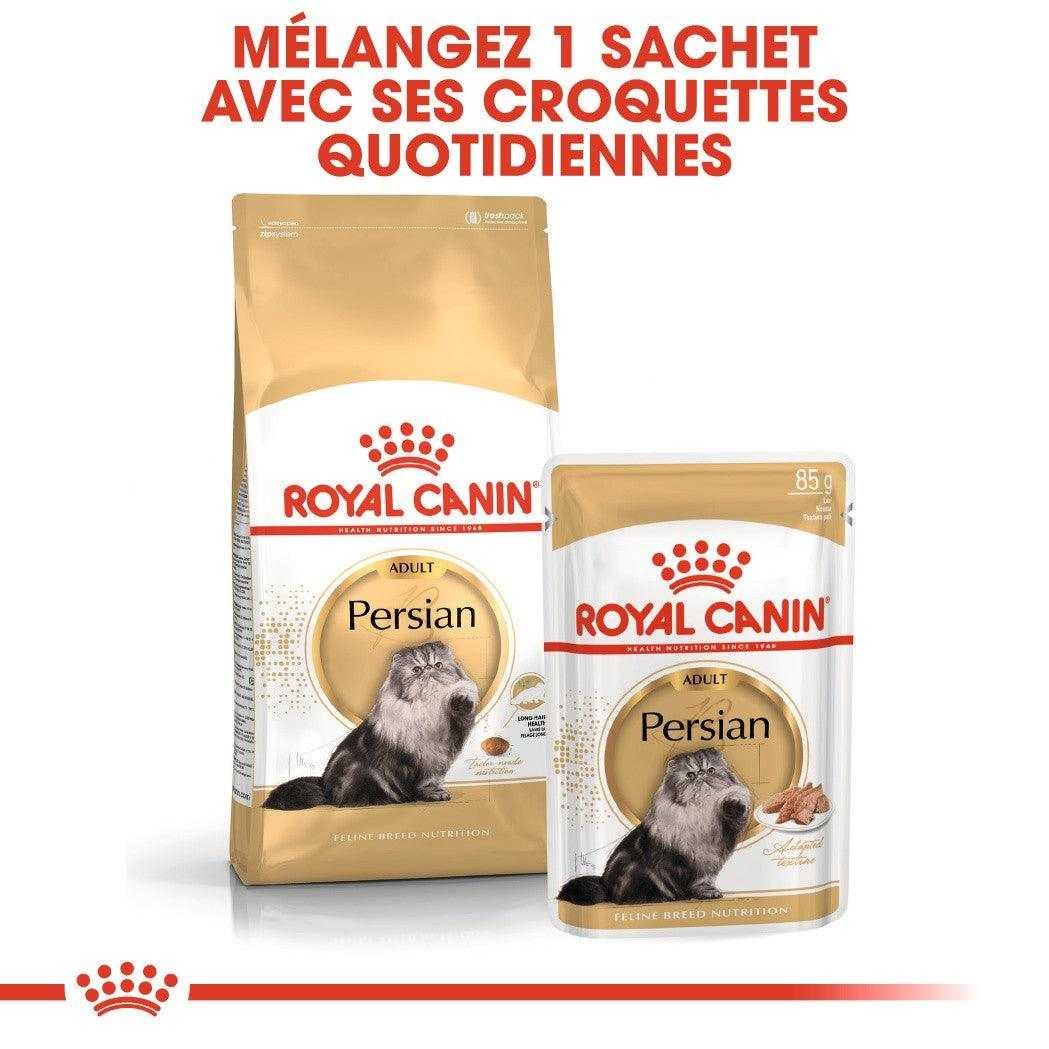 ROYAL CANIN POCHON MOUSSE PERSIAN ADULT